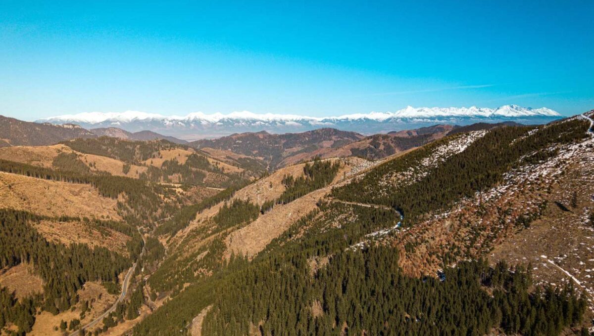 DJI_20260228120905_0011_D